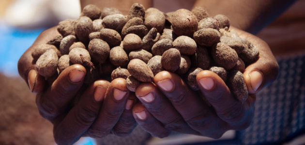 La storia di un ingrediente straordinario