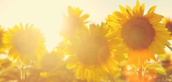 Importanza della crema solare
