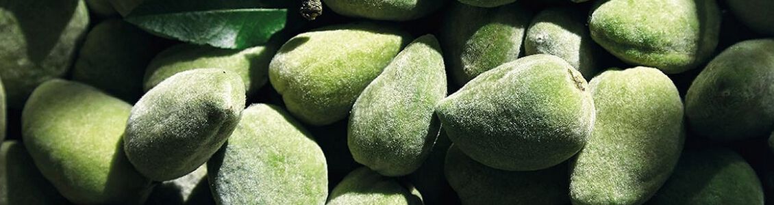 come combattere la cellulite