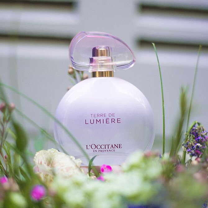 Terre de Lumière L'Eau