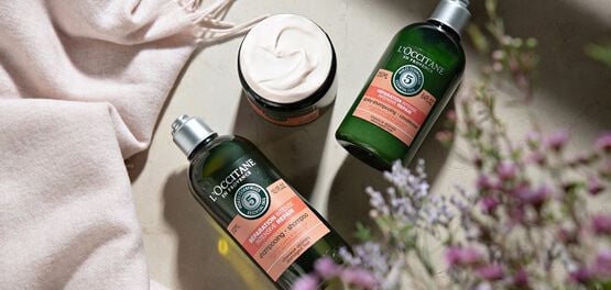 migliori prodotti per capelli secchi e crespi