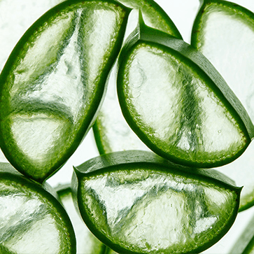 Estratto di aloe vera
