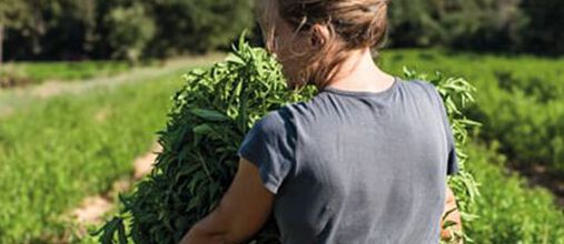 Vieni a conoscere Philippe e Magalie, i nostri produttori!