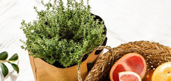 ingredienti naturali