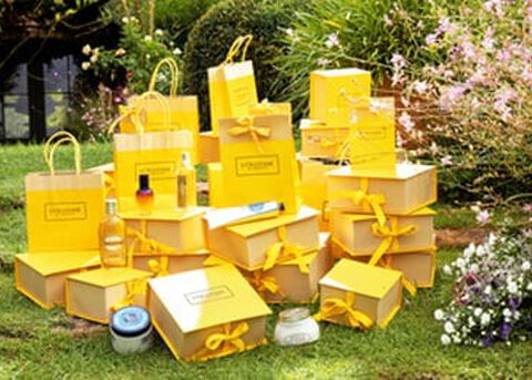 colletta regalo