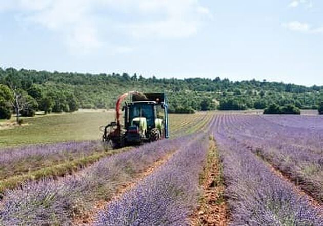 I nostri produttori 