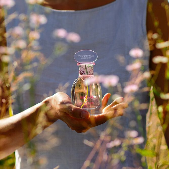 Herbae par L'OCCITANE L'Eau