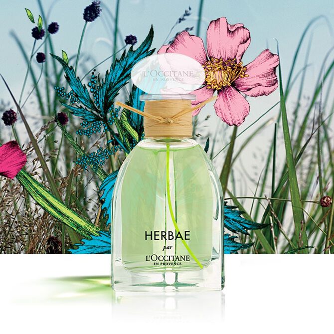 Herbae par L'OCCITANE