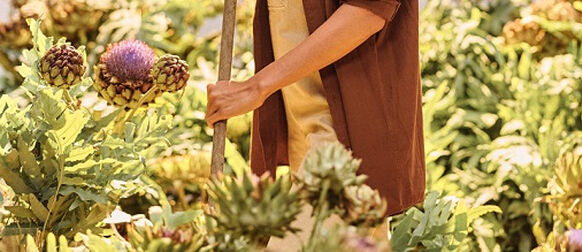 Origine dei nostri carciofi