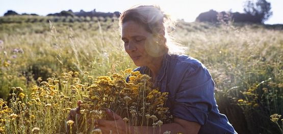 Il &eacute;tait une fois L'Occitane