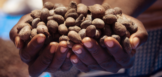La storia di un ingrediente straordinario