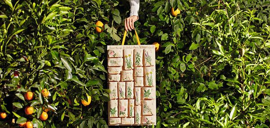 calendario dell'avvento beauty