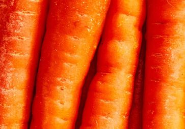 Olio di Carota
bio della Provenza