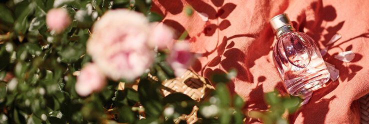collezione rosa 