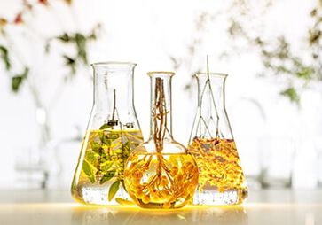 INGREDIENTI UTILIZZATI CON MODERAZIONE