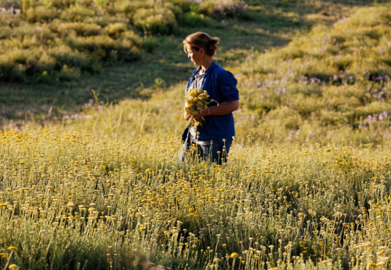 Immortelle