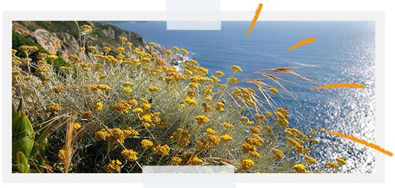 Per proteggere la biodiversit&agrave; dei nostri territori
