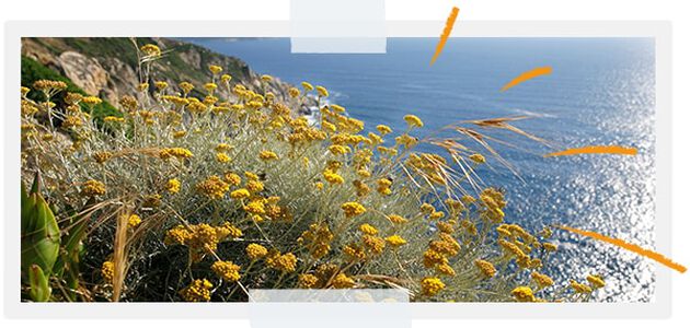 Per proteggere la biodiversit&agrave; dei nostri territori