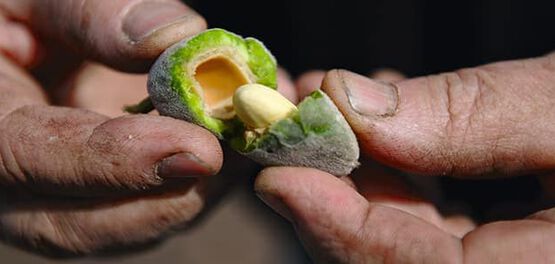 amandes