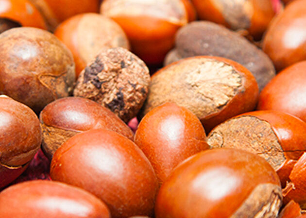 Il Karit&egrave;, un ingrediente speciale
