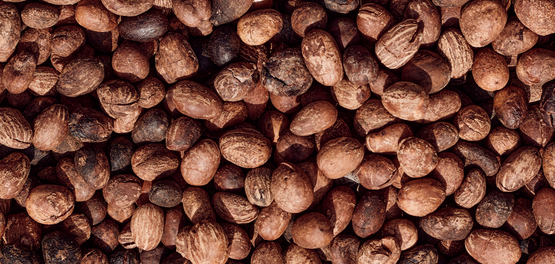 L'ingrediente di bellezza perfetto