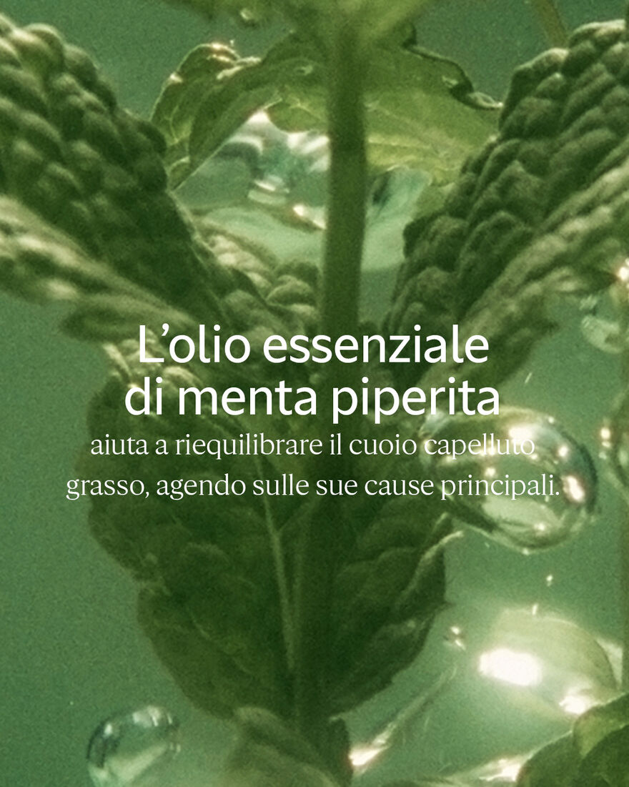 Vedi 6/6 il prodotto Shampoo Freschezza Purificante Aromachologie, , RECT