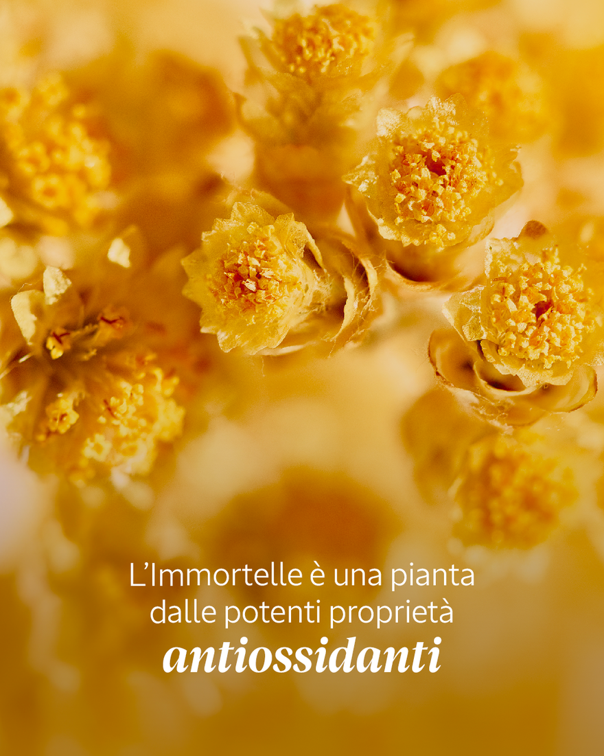 Vedi 3/7 il prodotto Emulsione Enrichie Immortelle Pr&eacute;cieuse, , RECT