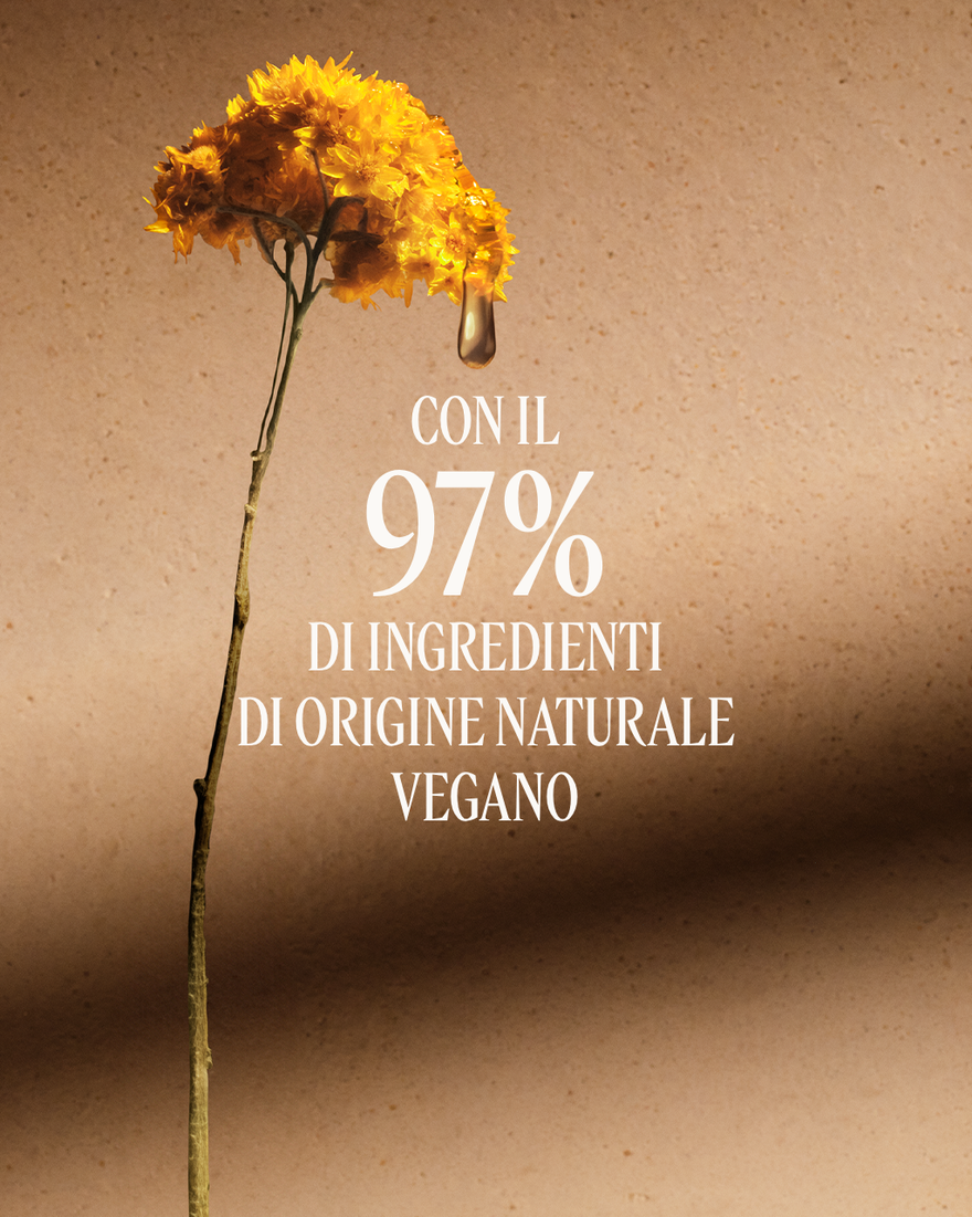 Vedi 6/12 il prodotto Olio Corpo Tonificante Immortelle Divine, , RECT