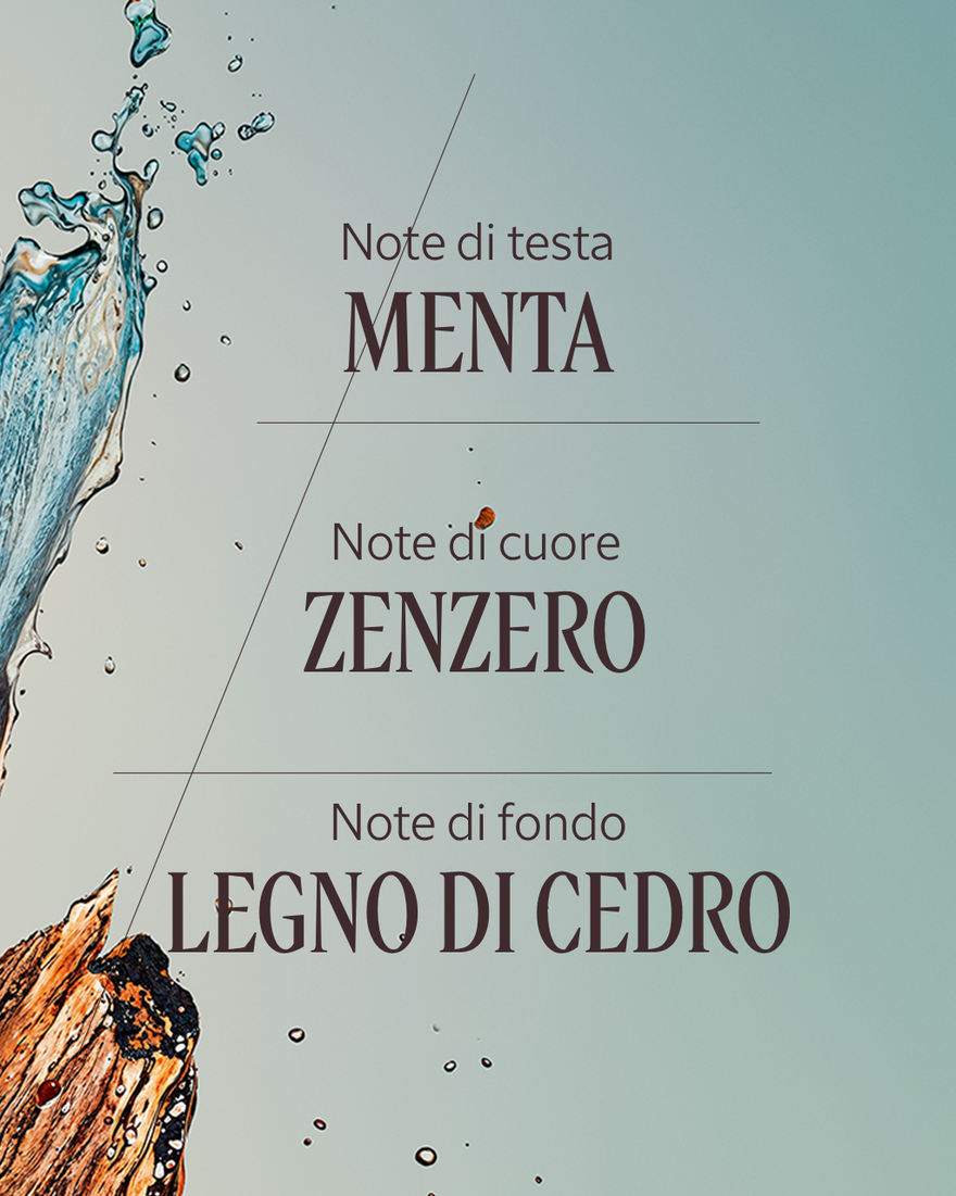 Vedi 4/7 il prodotto Eau de Toilette C&egrave;dre Gingembre (Cap C&eacute;drat), , RECT