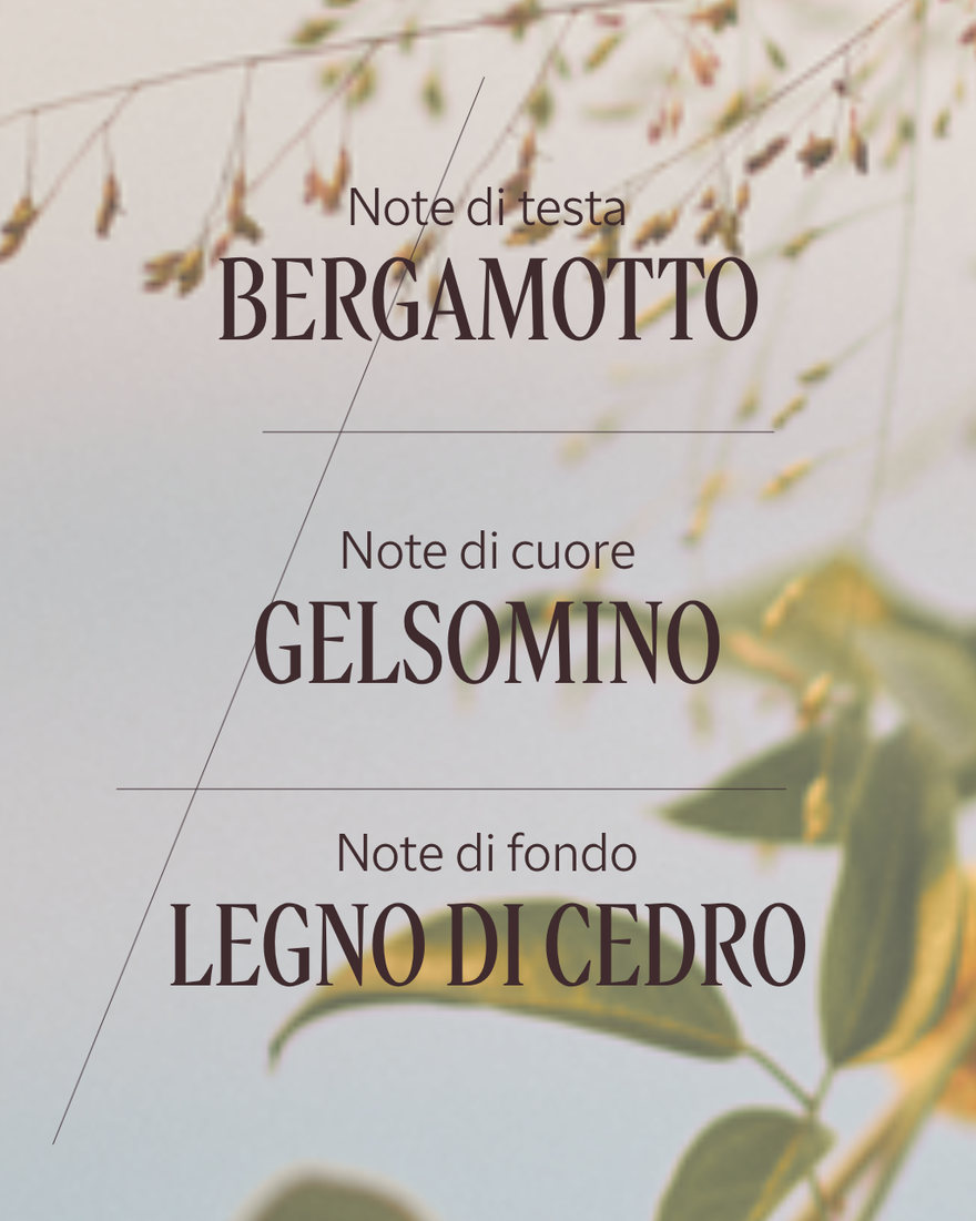 Vedi 4/6 il prodotto Eau de Toilette Jasmin & Bergamote, , RECT