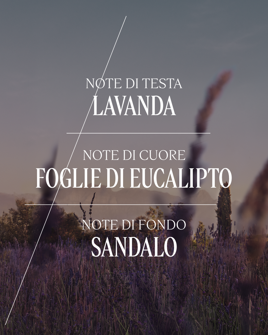 Vedi 5/8 il prodotto Eau de Toilette Lavande, , RECT