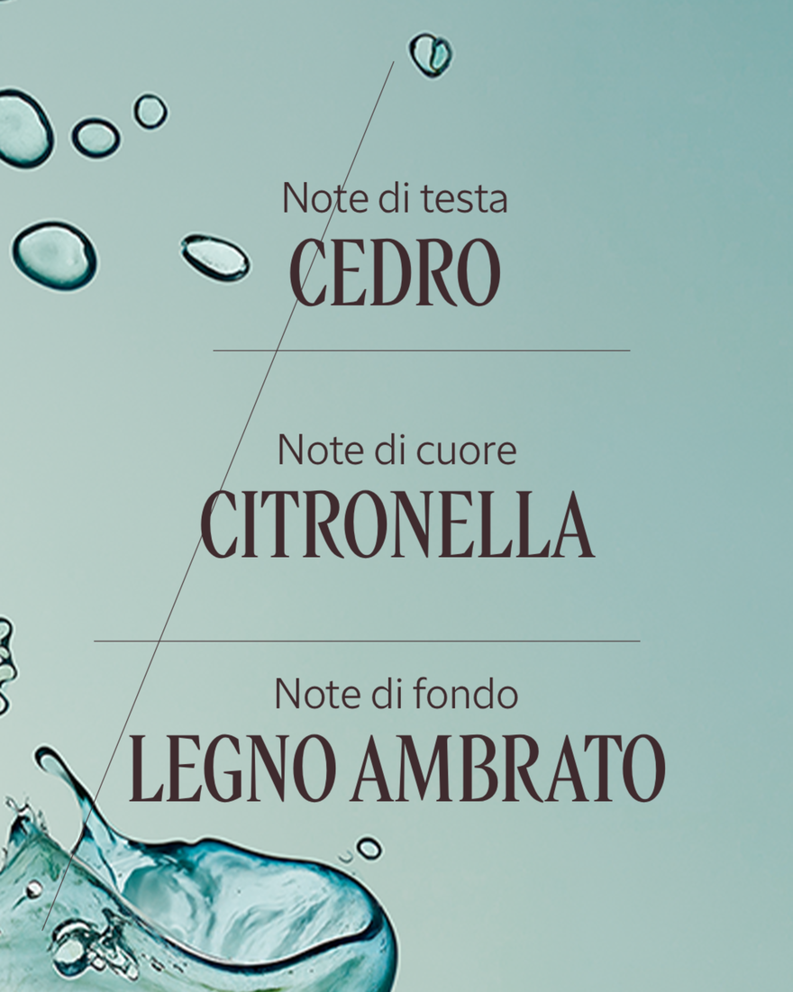 Vedi 4/7 il prodotto Eau de Toilette C&eacute;drat, , RECT