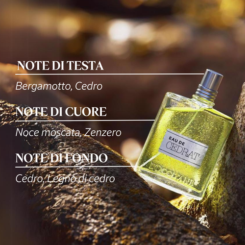【10％OFF】 Uomo Toilette de Eau - IT L'OCCITANE | Cédrat 香水(ユニセックス)