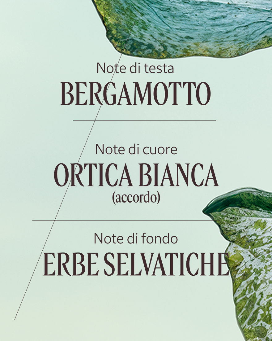 Vedi 4/7 il prodotto Eau de Parfum Ortie Blanche (Herbae), , RECT