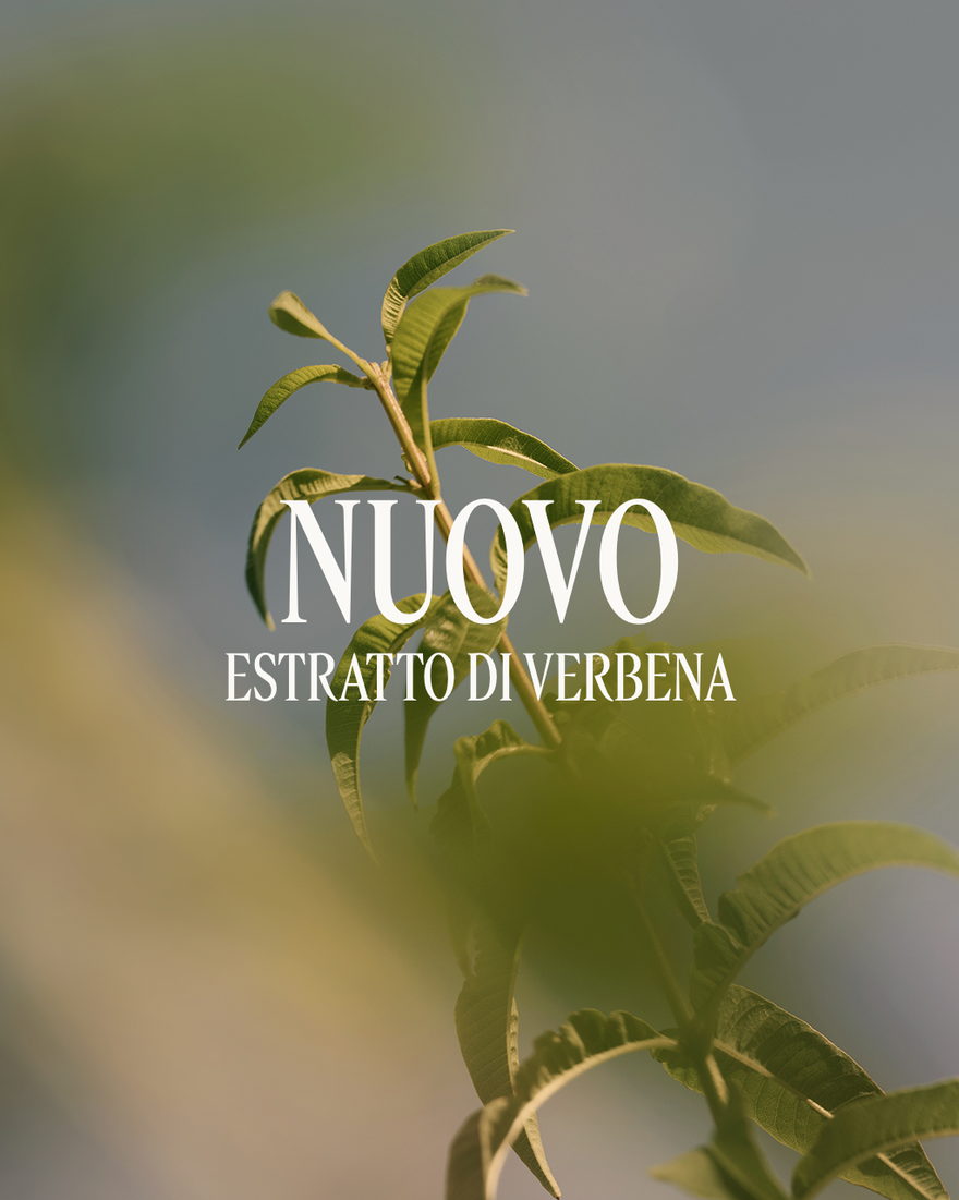 Vedi 3/3 il prodotto Latte Corpo Verveine, , RECT