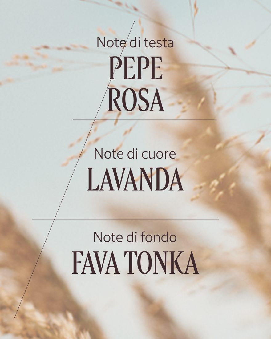 Vedi 3/5 il prodotto Eau de Toilette Terre de Lumi&egrave;re, , RECT