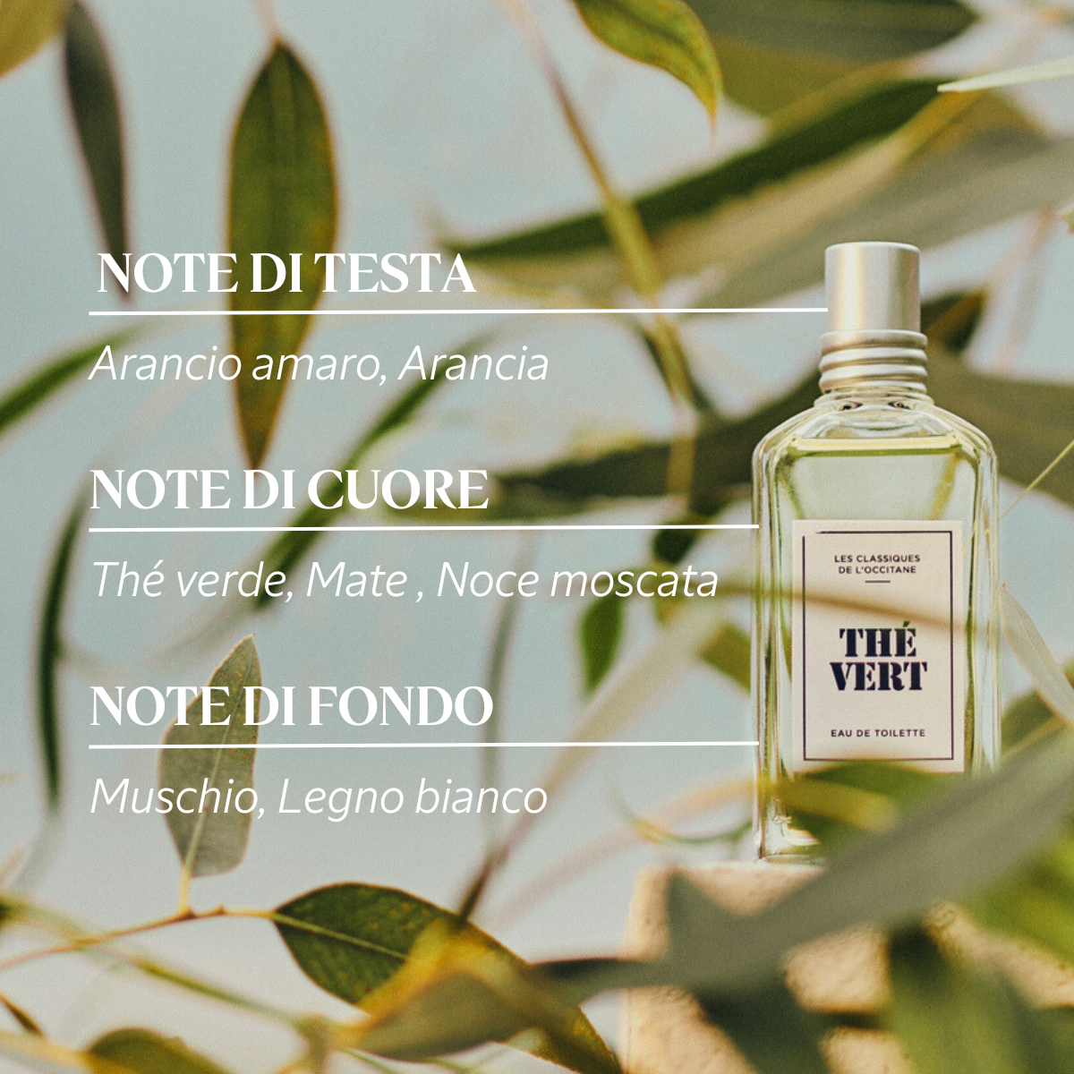 L'OCCITANE M 【廃盤・ジャンク】ロクシタン オードトワレ